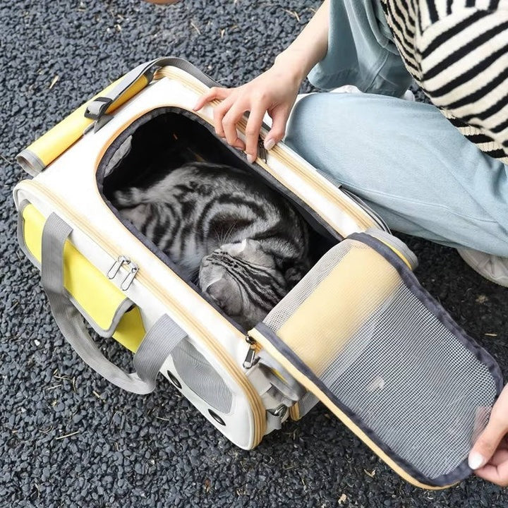 Pet Carrier for Cats and Small Dogs Travel - Image 13