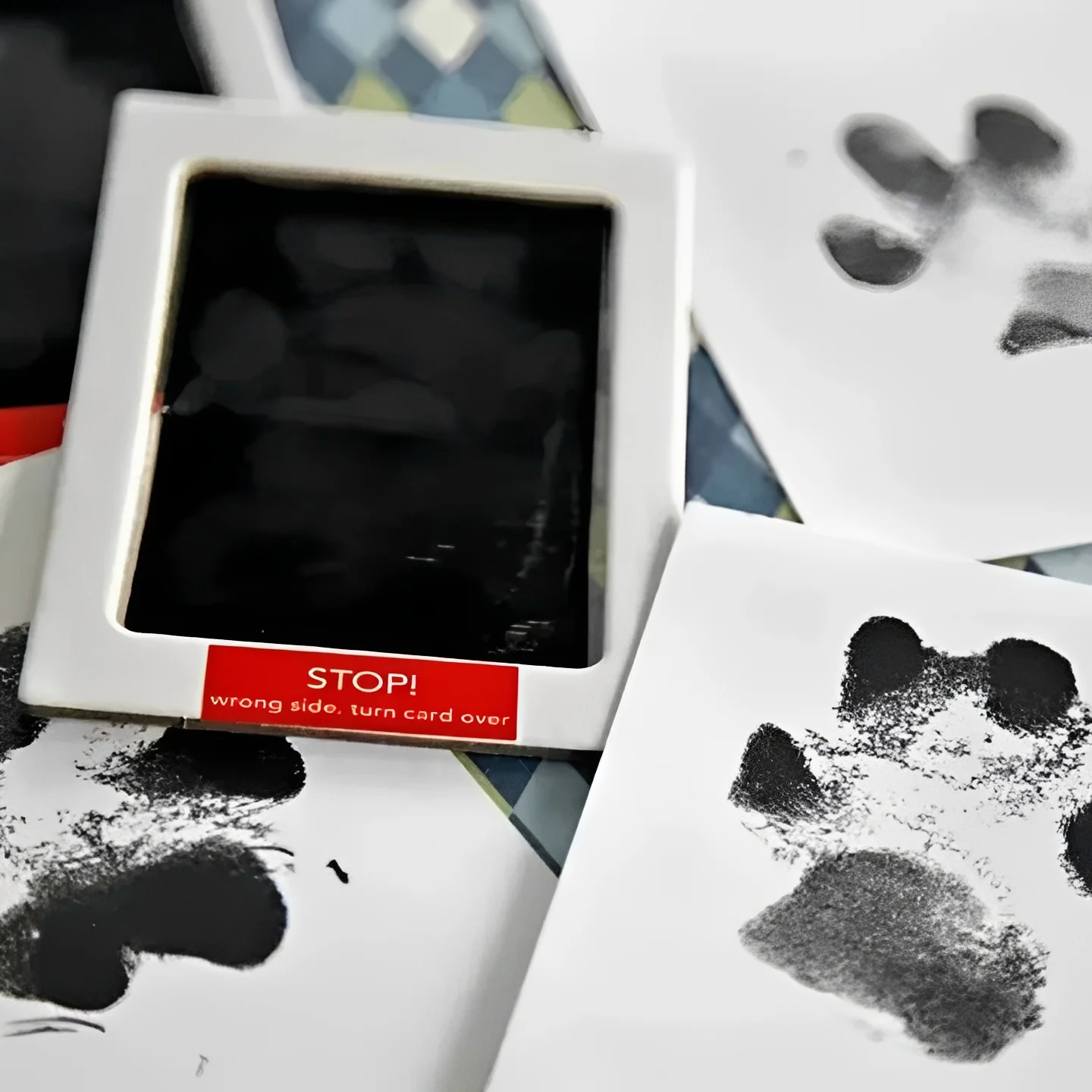 Pet Paw Print Impression Kit for Dogs - Image 11