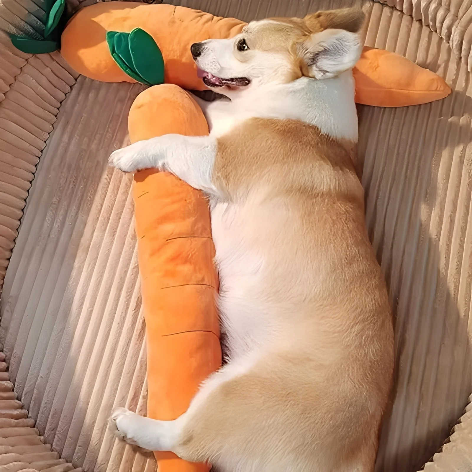 Plush Dog Toy with Sound in Carrot Shape - Image 6