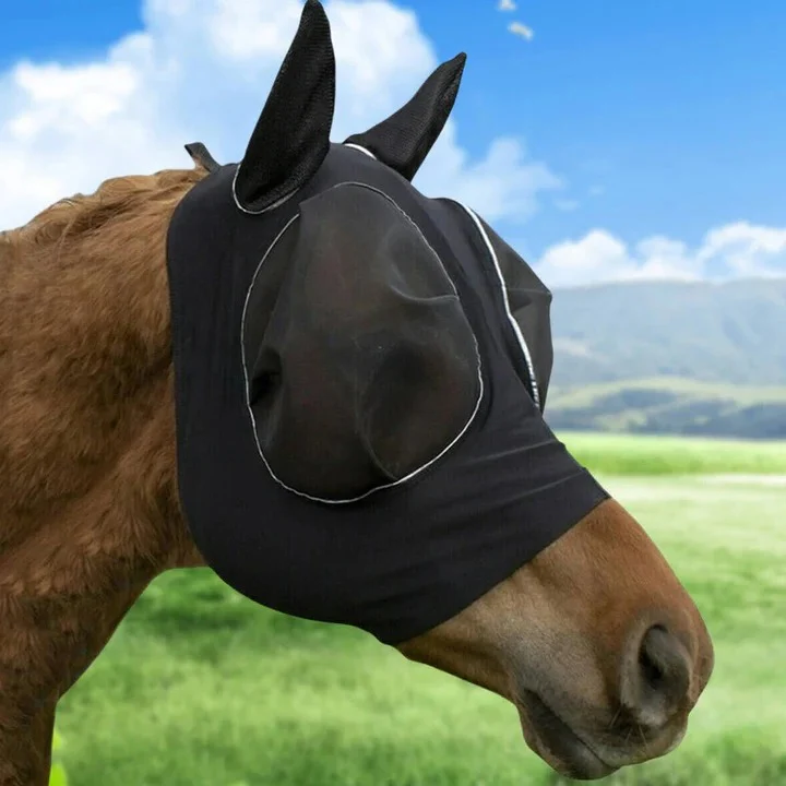 Protective Fly Mask for Horses with Mesh Design - Image 5