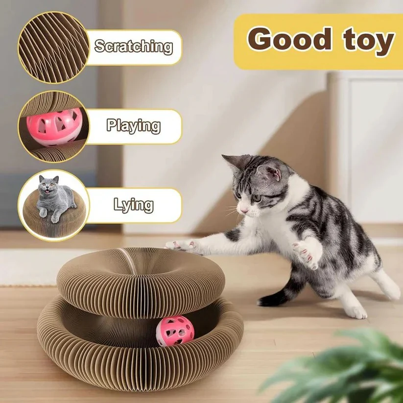 Recyclable Cat Scratching Pad with Ball Toy, Set of 2 - Image 2