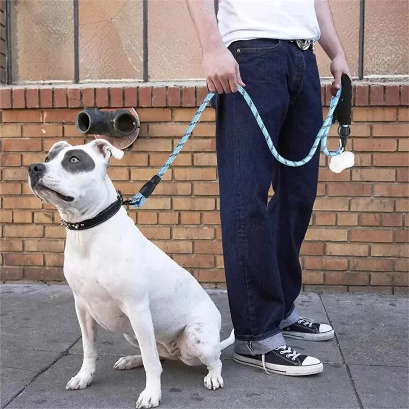 Reflective Dog Leash with Padded Handle - Image 8