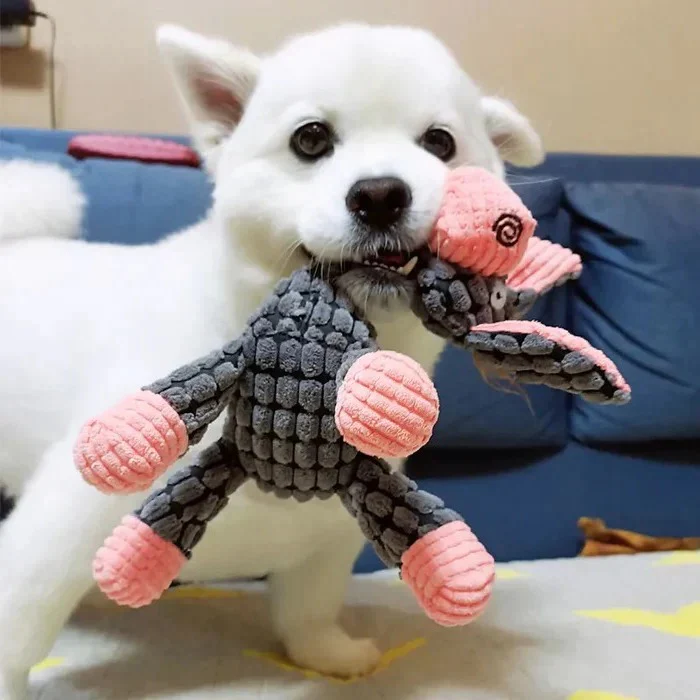 Reinforced Squeaky Plush Dog Toy with Durable Stitching - Image 13