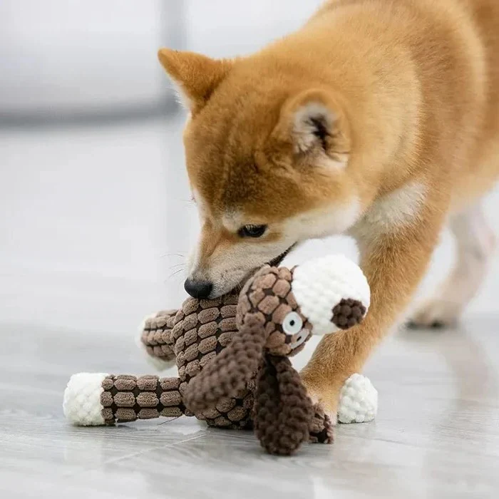 Reinforced Squeaky Plush Dog Toy with Durable Stitching - Image 15