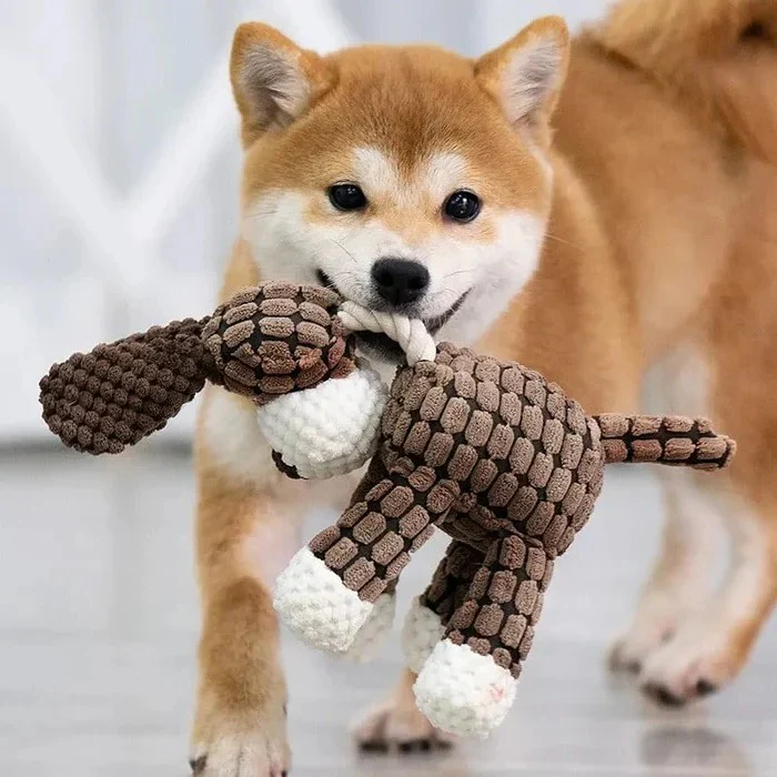 Reinforced Squeaky Plush Dog Toy with Durable Stitching - Image 17