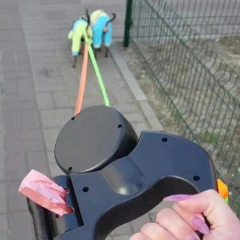 Retractable Dual Dog Leash With Swivel Hook and LED Light - Image 2
