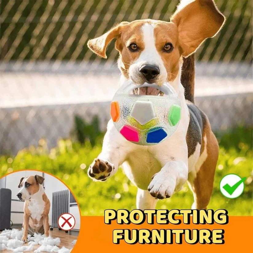 Rubber Football Dog Toy with Bottle Design for Heavy Chewers - Image 5