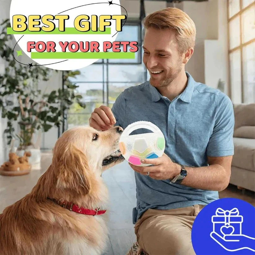 Rubber Football Dog Toy with Bottle Design for Heavy Chewers - Image 6