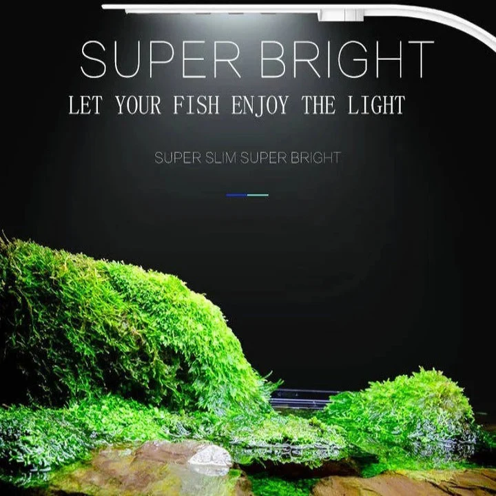 Slim LED Aquarium Light for Fish Tanks and Plants - Image 6