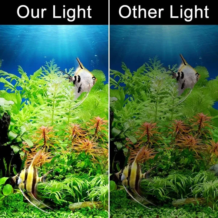 Slim LED Aquarium Light for Fish Tanks and Plants - Image 7