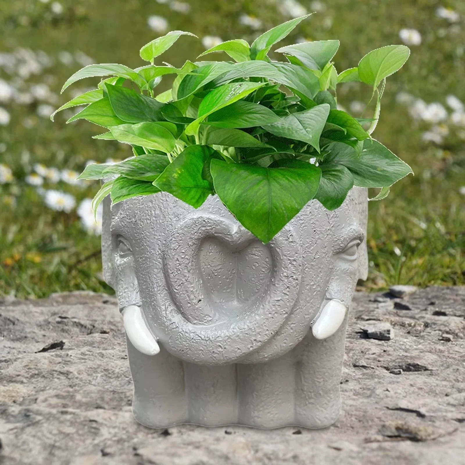 Small Cartoon Plant Pot for Succulents and Decorative Home Display - Image 4