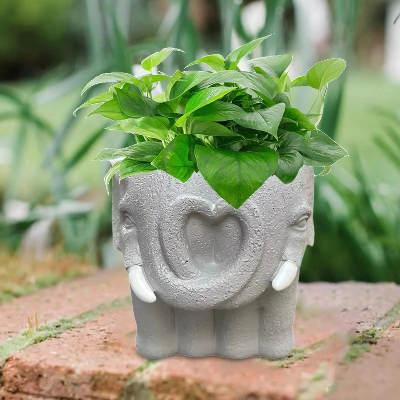 Small Cartoon Plant Pot for Succulents and Decorative Home Display - Image 5