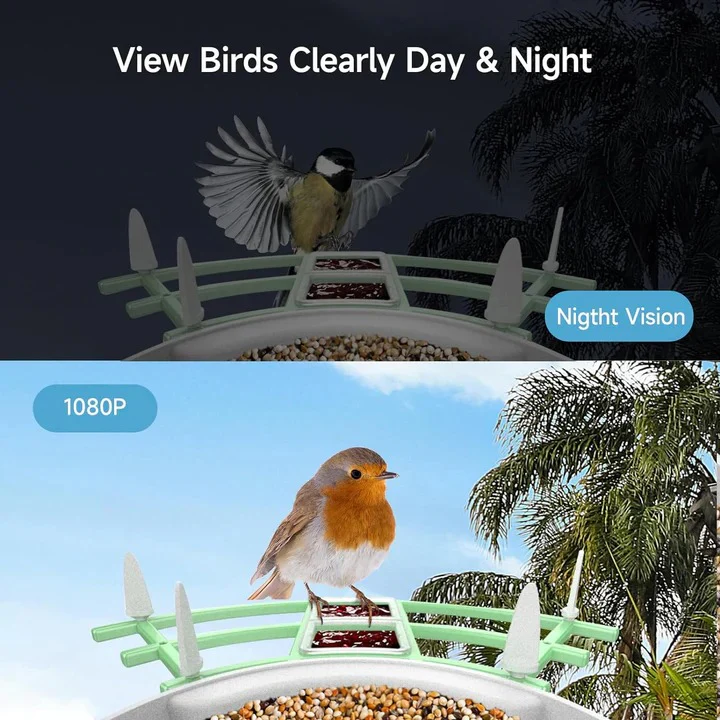 Smart Bird Feeder Camera with App Control and Night Vision - Image 3