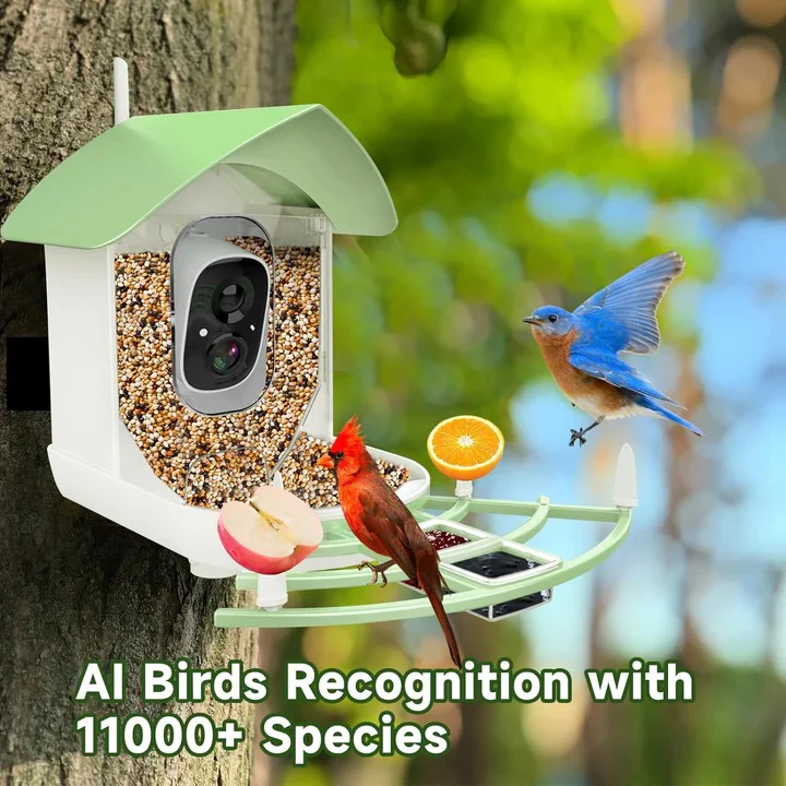 Smart Bird Feeder Camera with App Control and Night Vision - Image 4