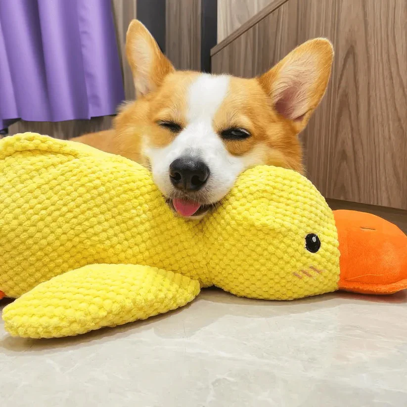 Soft Plush Duck Toy – Comforting Play Companion for Dogs - Image 2