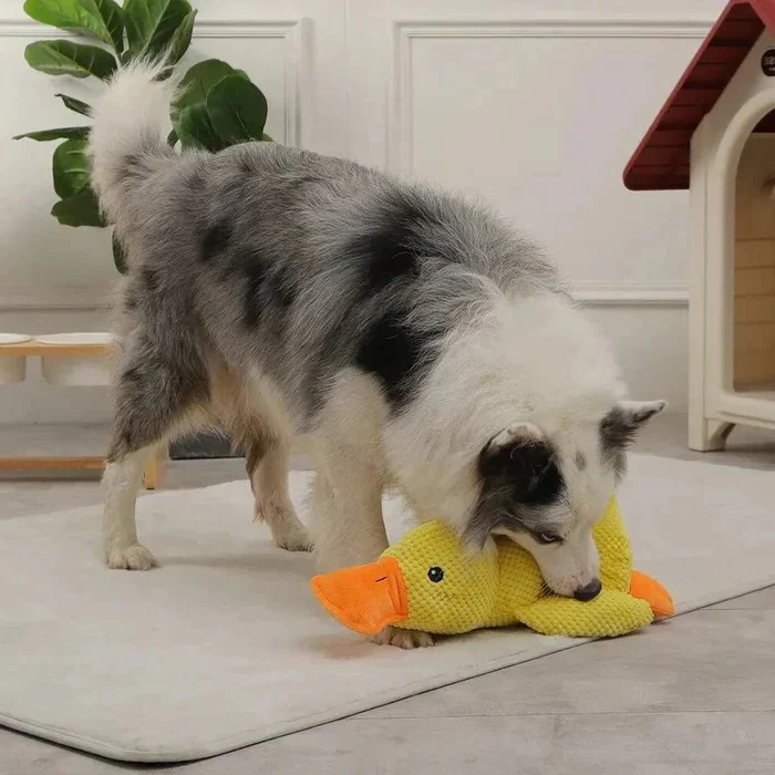 Duck Shaped Squeaky Dog Toy with Reinforced Stitching - Image 10
