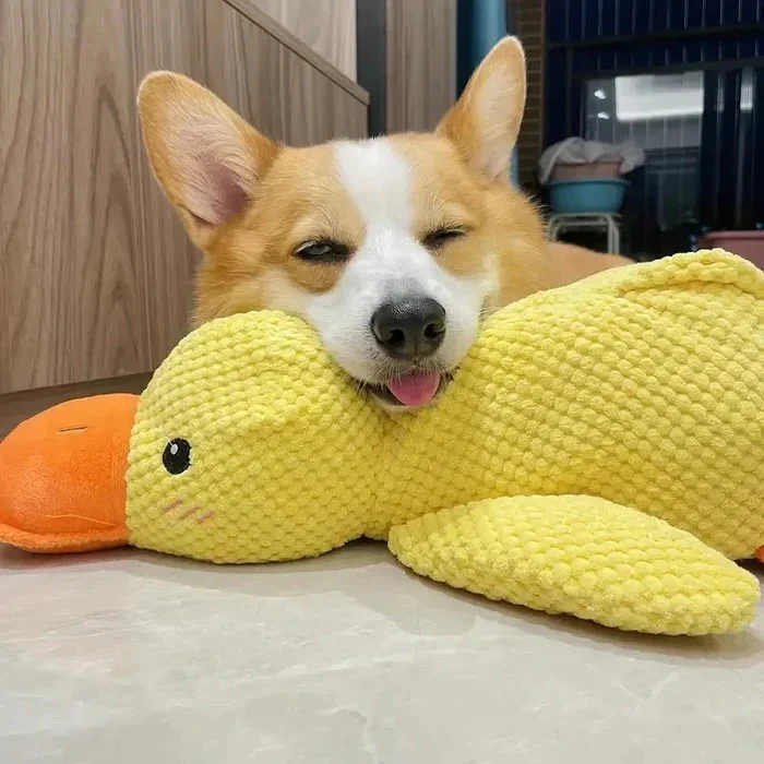 Duck Shaped Squeaky Dog Toy with Reinforced Stitching - Image 12