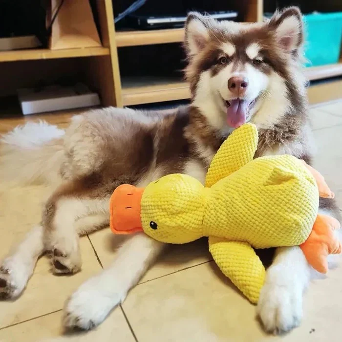 Duck Shaped Squeaky Dog Toy with Reinforced Stitching - Image 14