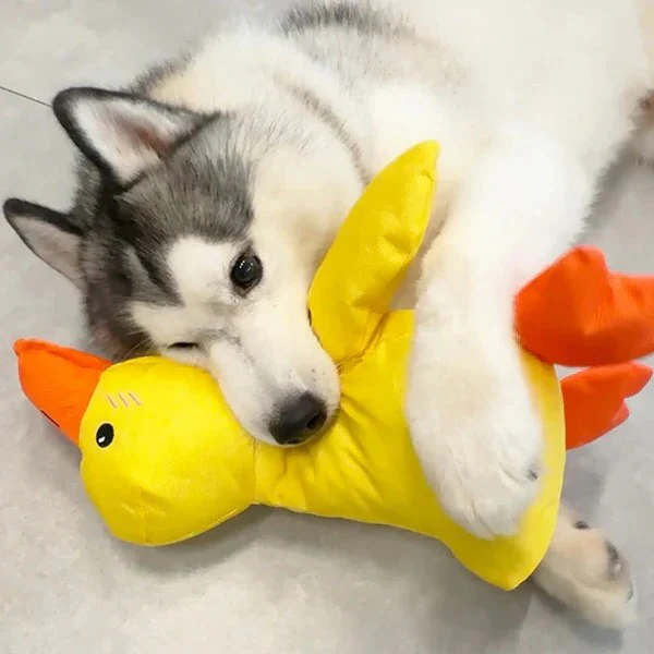 Duck Shaped Squeaky Dog Toy with Reinforced Stitching - Image 8
