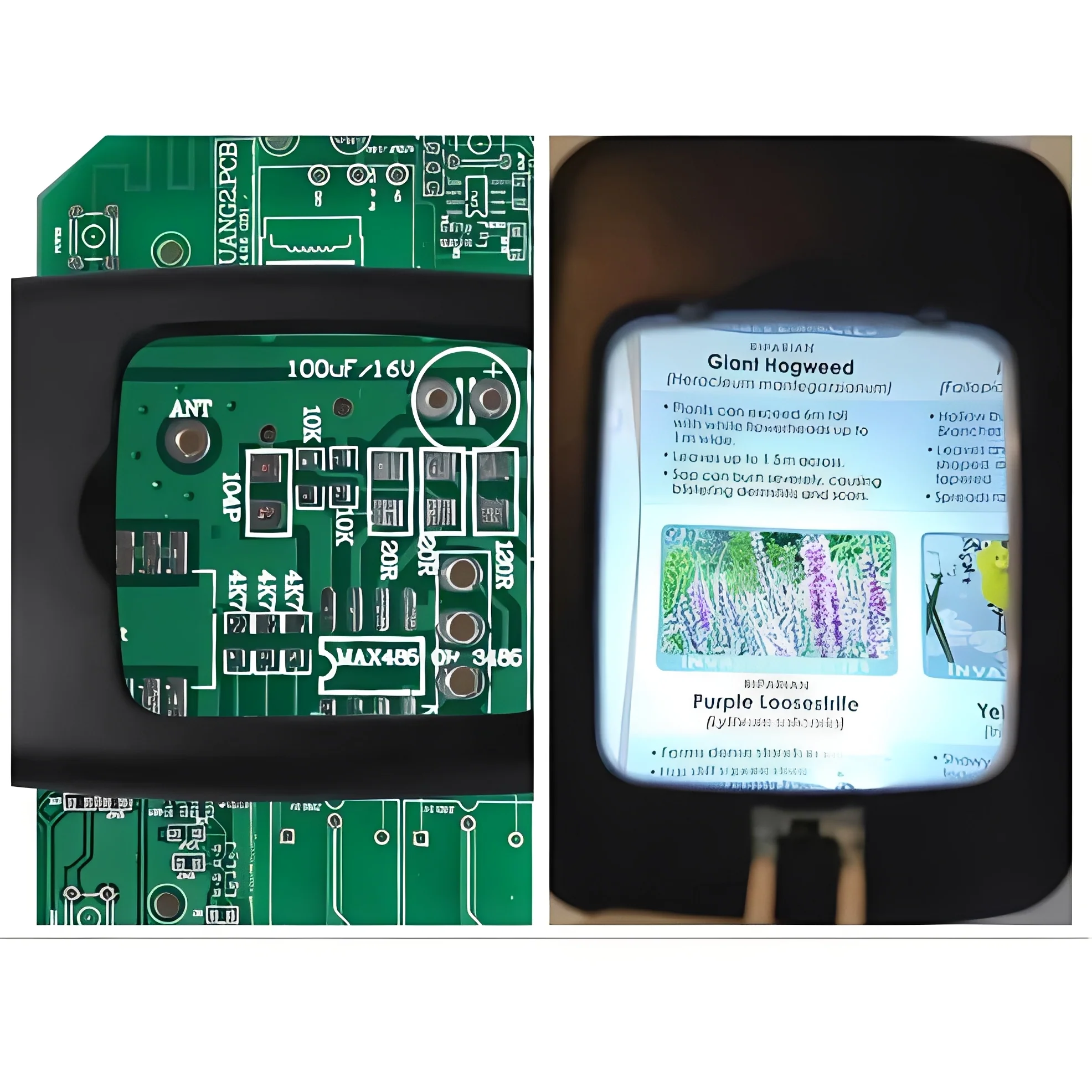 Adjustable Floor Magnifier with Large Viewing Lens and LEDs - Image 2