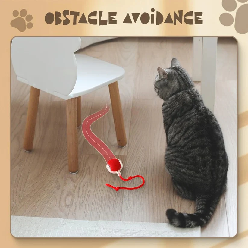 Touch Activated Rolling Pet Toy Ball with Random Motion for Cats Dogs - Image 3