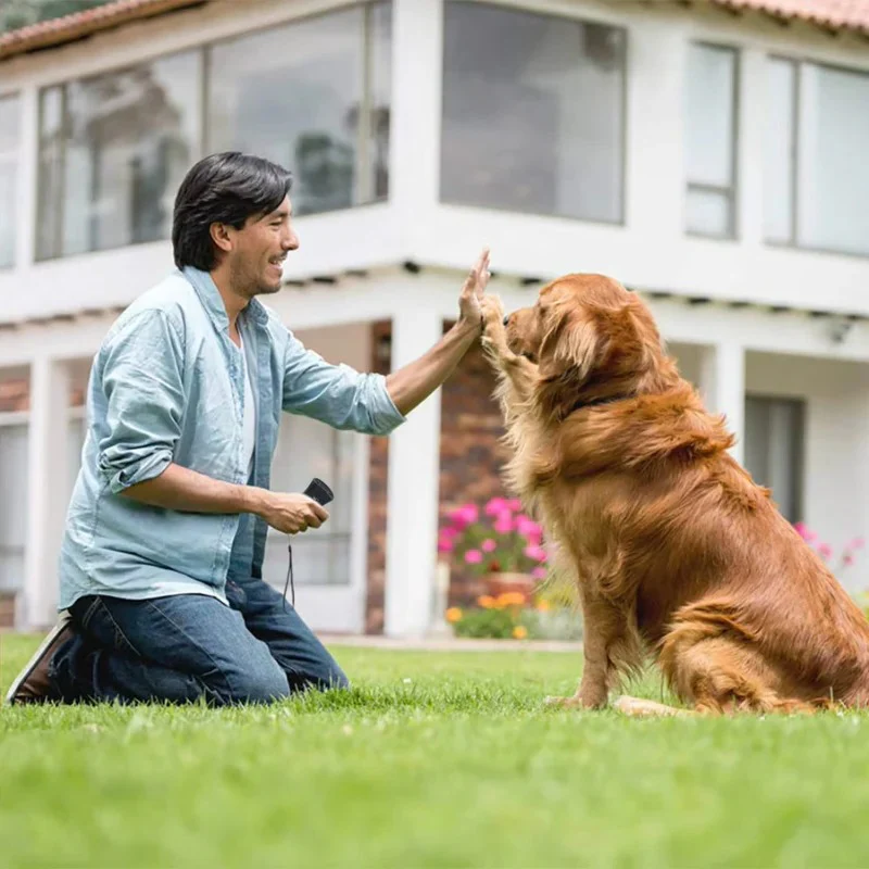 Ultrasonic Bark Deterrent for Dogs, Humane Outdoor Sound Device - Image 5