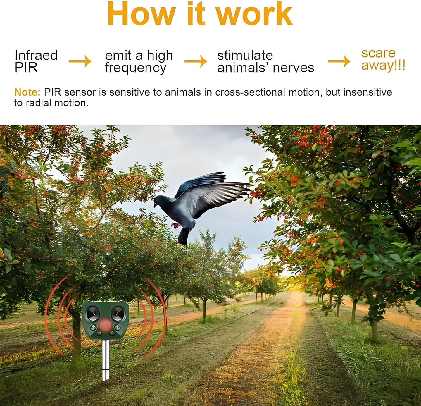 Ultrasonic Bird and Pest Deterrent Device with Motion Sensor - Image 5