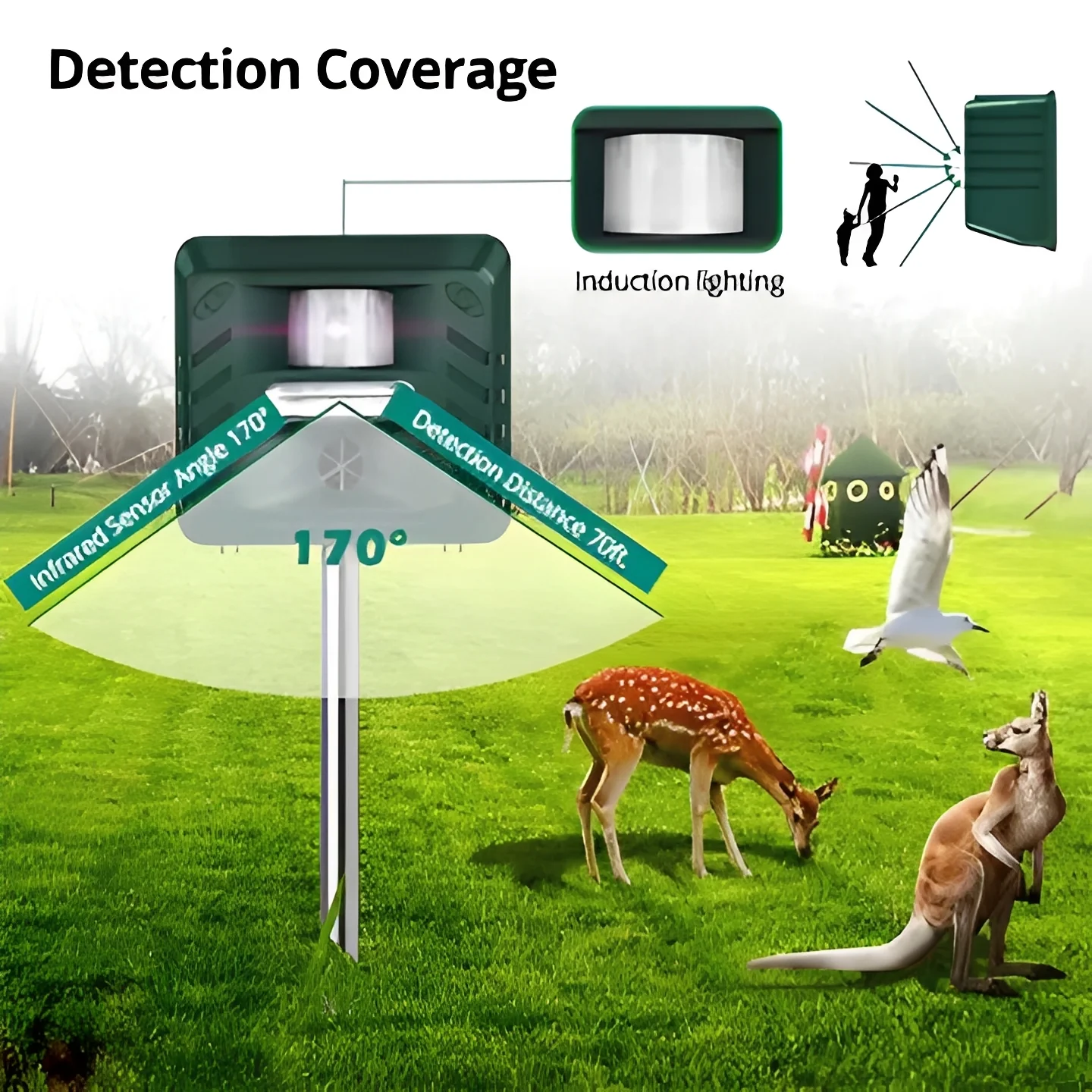 Ultrasonic Woodpecker Deterrent for Outdoor Pest Control - Image 4