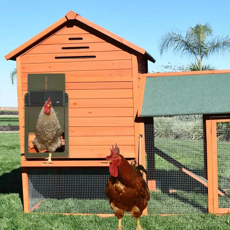 Automatic Chicken Coop Door with Light Sensor and Battery Operation - Image 4