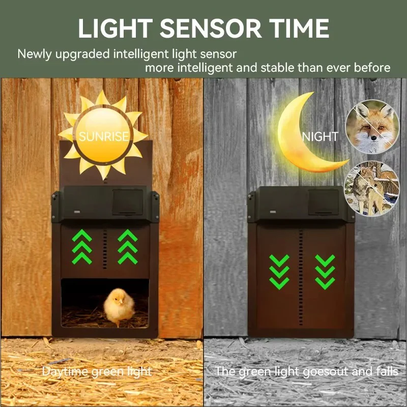 Automatic Chicken Coop Door with Light Sensor and Battery Operation - Image 7