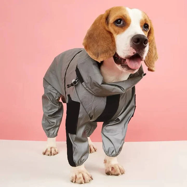 Waterproof Dog Raincoat with Adjustable Fit - Image 4
