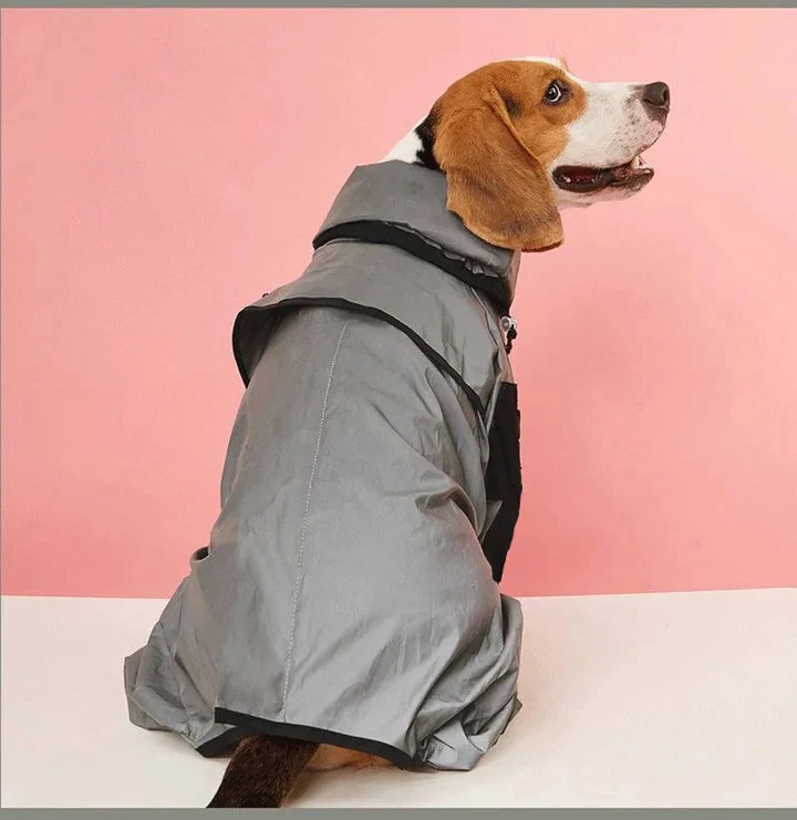 Waterproof Dog Raincoat with Adjustable Fit - Image 5