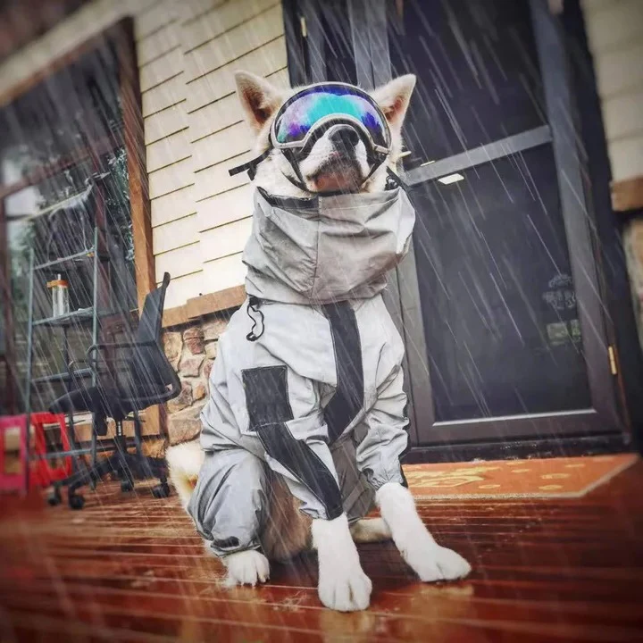 Waterproof Dog Raincoat with Adjustable Fit - Image 8