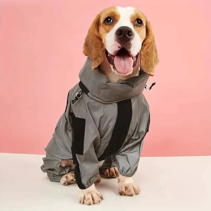 Waterproof Dog Raincoat with Adjustable Fit - Image 9
