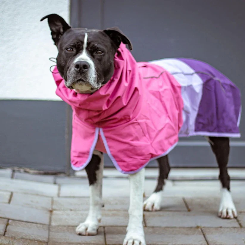 Waterproof Windproof Dog Rain Jacket with Reflective Full Body Coverage - Image 11