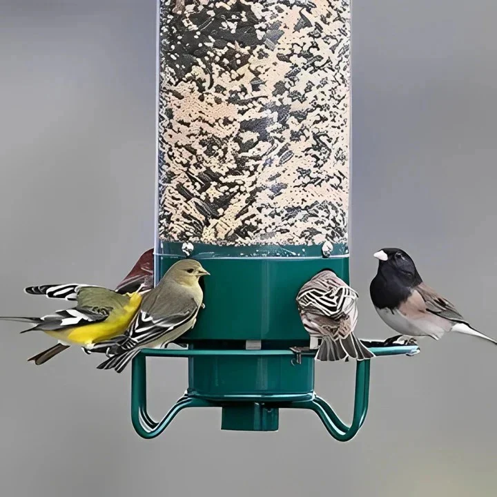 Weather Resistant Squirrel Proof Bird Feeder for Outdoor Use - Image 2
