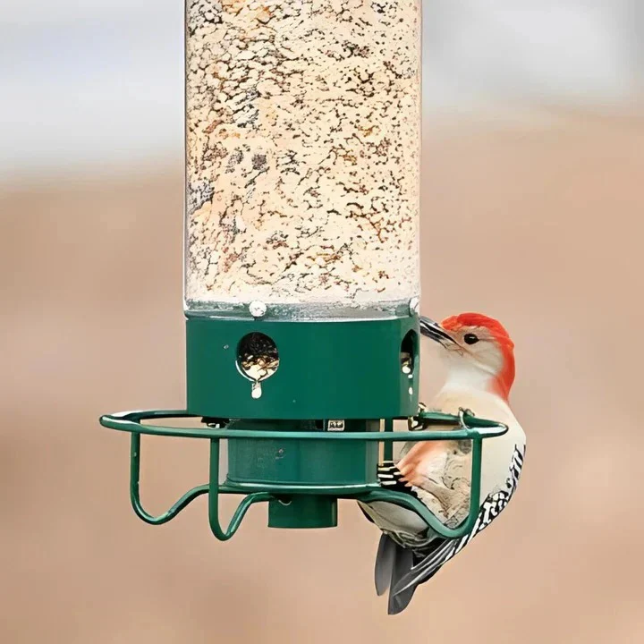 Weather Resistant Squirrel Proof Bird Feeder for Outdoor Use - Image 3